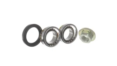 Set rulment roata SKF VKBA 3666
