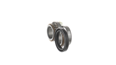 Set rulment roata SKF VKBA 3666