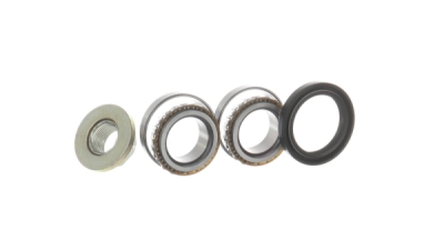 Set rulment roata SKF VKBA 3666
