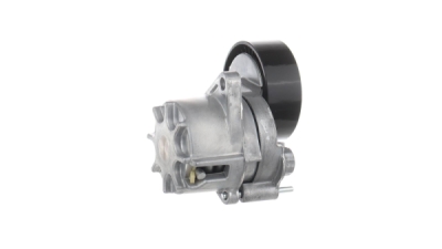 Intinzator curea, curea distributie SKF VKM 38020