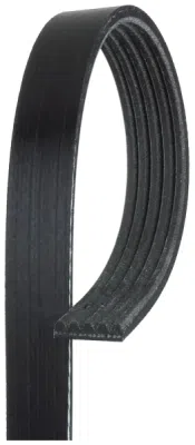 Curea transmisie cu caneluri GATES 5PK1303