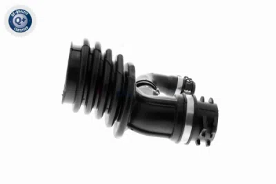 Palnie, filtru de aer VAICO V25-0793
