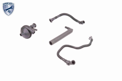 Set reparatie, aerisire baie ulei VAICO V20-1873