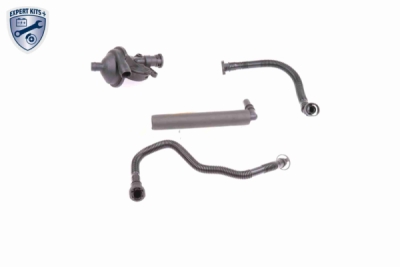 Set reparatie, aerisire baie ulei VAICO V20-1873