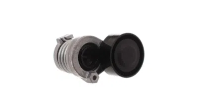 Intinzator curea, curea distributie SKF VKM 36146