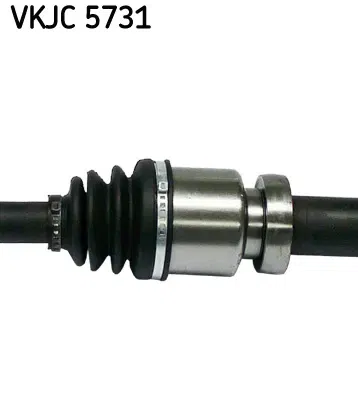 Planetara SKF VKJC 5731