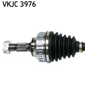 Planetara SKF VKJC 3976