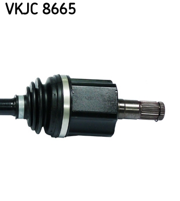 Planetara SKF VKJC 8665