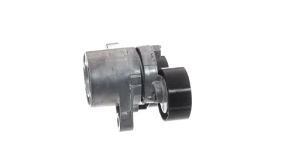 Intinzator curea, curea distributie SKF VKM 38353