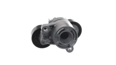 Intinzator curea, curea distributie SKF VKM 38353