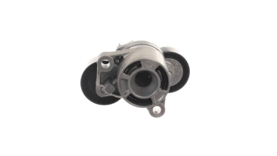 Intinzator curea, curea distributie SKF VKM 38306
