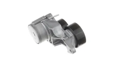 Intinzator curea, curea distributie SKF VKM 36222