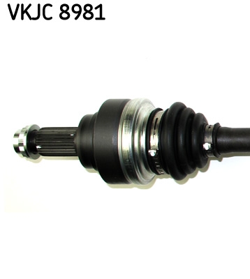 Planetara SKF VKJC 8981