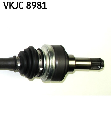 Planetara SKF VKJC 8981