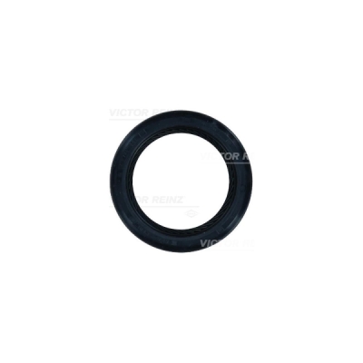 Simering, ax cu came VICTOR REINZ 81-26244-10