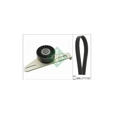 Set curea transmisie cu caneluri INA 529 0145 10