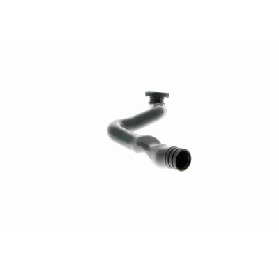 Furtun, aerisire bloc motor VAICO V10-3099