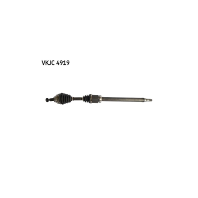 Planetara SKF VKJC 4919