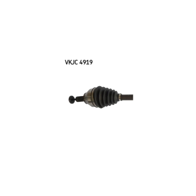 Planetara SKF VKJC 4919