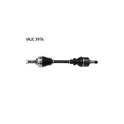 Planetara SKF VKJC 3976
