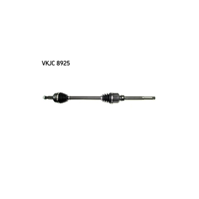 Planetara SKF VKJC 8925