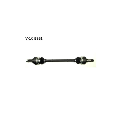 Planetara SKF VKJC 8981