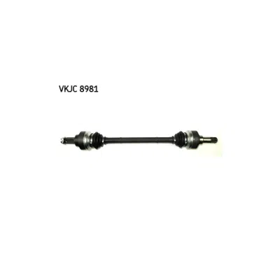 Planetara SKF VKJC 8981