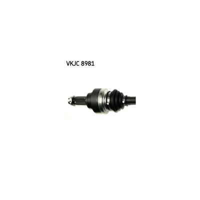 Planetara SKF VKJC 8981