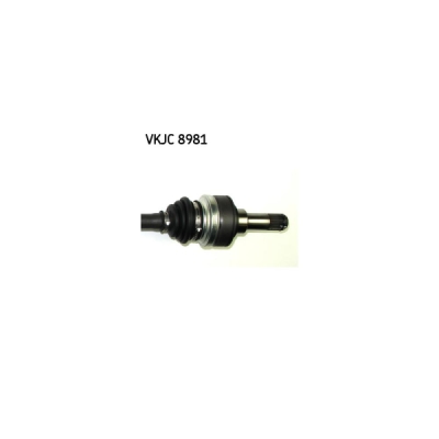 Planetara SKF VKJC 8981