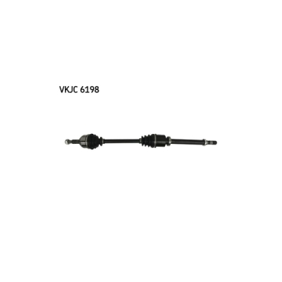Planetara SKF VKJC 6198