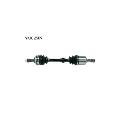 Planetara SKF VKJC 2509