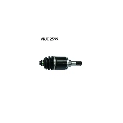 Planetara SKF VKJC 2599
