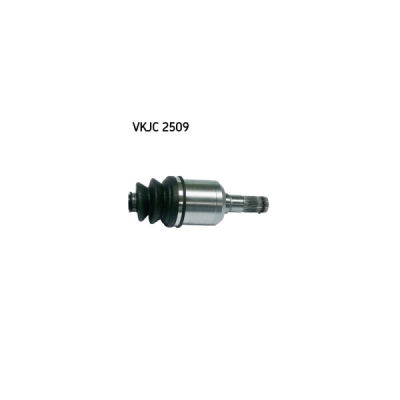Planetara SKF VKJC 2509