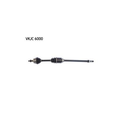 Planetara SKF VKJC 6000