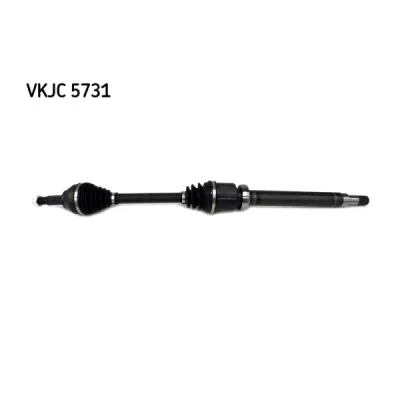 Planetara SKF VKJC 5731