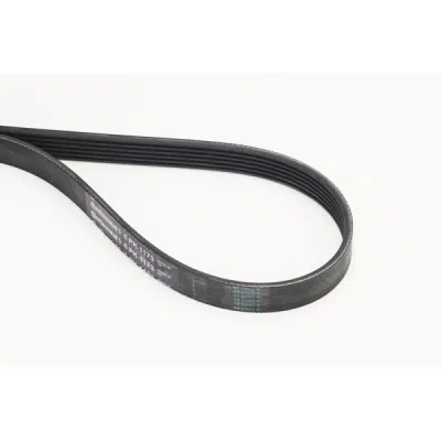 Curea transmisie cu caneluri CONTINENTAL CTAM 6PK1173