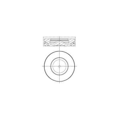 Piston MAHLE 081 PI 00100 000
