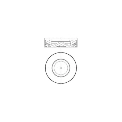 Piston MAHLE 081 PI 00100 000
