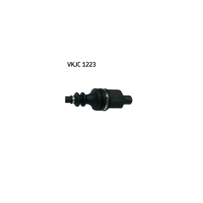 Planetara SKF VKJC 1223