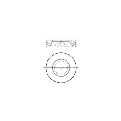 Piston MAHLE 081 PI 00113 000