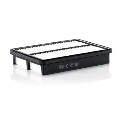 Filtru aer MANN-FILTER C 25 019