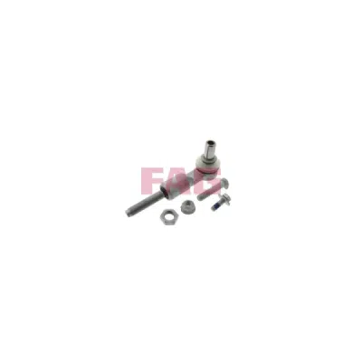 Cap de bara FAG 840 1006 10