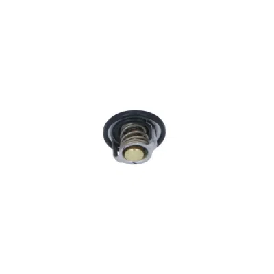 Termostat, lichid racire NRF 725127