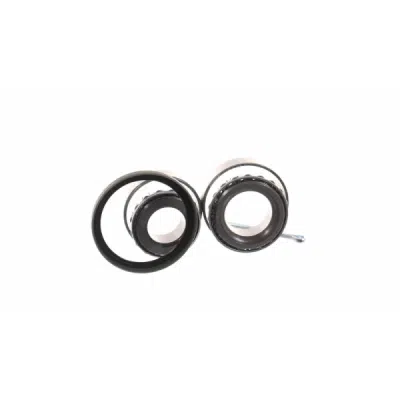 Set rulment roata SKF VKBA 652