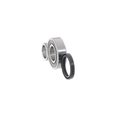 Set rulment roata SKF VKBA 6920