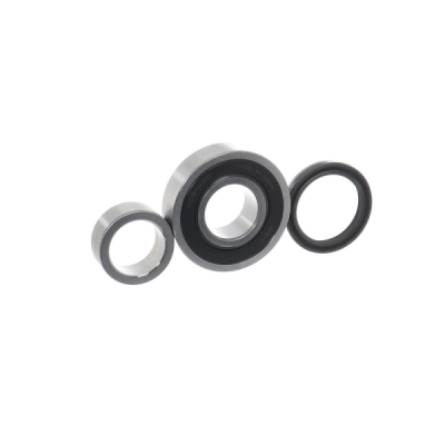 Set rulment roata SKF VKBA 6920