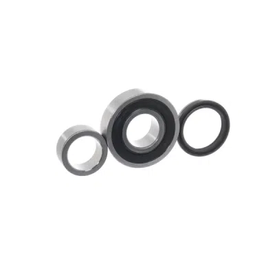 Set rulment roata SKF VKBA 6920