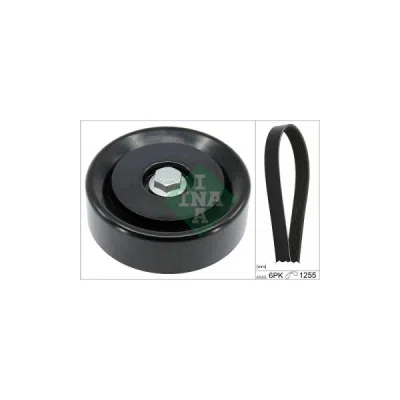 Set curea transmisie cu caneluri INA 529 0496 10