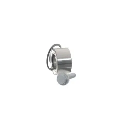 Set rulment roata SKF VKBA 6646