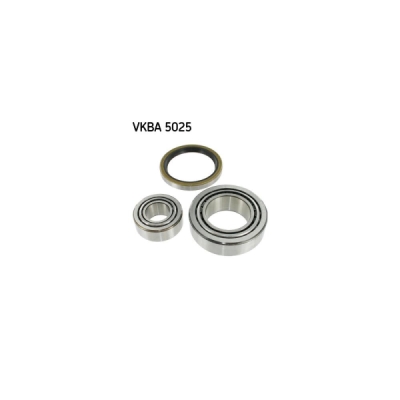 Set rulment roata SKF VKBA 5025
